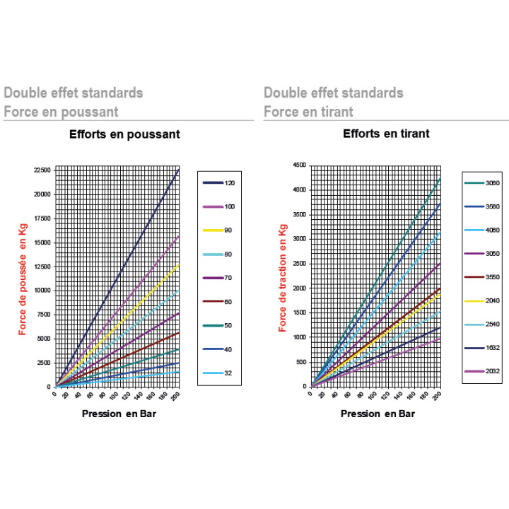 Vérin double effet standard Ø50x25 Course 600