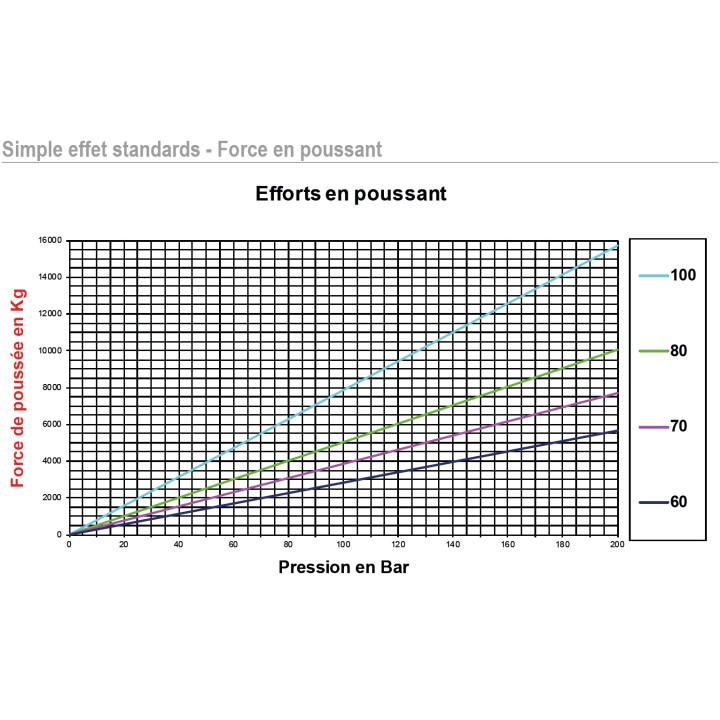 Vérin Simple effet standard Ø60 Course 800
